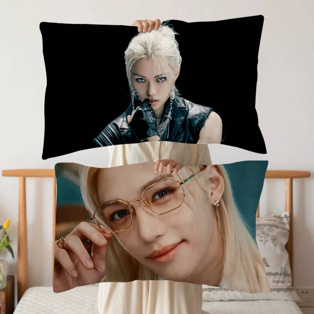 Home Textiles Premium - F-FelixS singer.png Neuer Stil Erwachsenen-Kissenbezug Premium